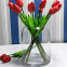 Transparent Table Vase For Home Decoration Glass Cylinder Vases Bud Vases Glass Container