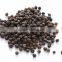 Pepper nut/dried black pepper nut/cheap from Vietnam