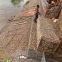 2m X 1m X 1m Hexagonal Mesh Cage Gabion Mesh