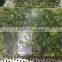 Frozen high quality vegetable Bulk Organic spinach from China