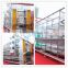 China cheap broiler chick cage for sale/ breeds of broiler chickens