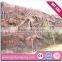 2016 Hot sale museum park life-size real dinosaur skull