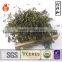 New Spring Pure Natural High Premium Green Tea EU Standard Health Care