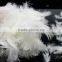 IDFL Texted 2-6cm White Duck Feather for Textiles