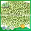 FD New Crop Chinese Small Green Peas