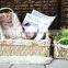 7 hand woven - pastoral style - straw storage basket - Storage Basket - sundry basket - woven basket