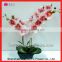 Wholesale Decorative Artificial Fabric Flower of Artificial Red Flower