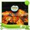 Kitchen Instant Read Meat Thermometer Food Thermometer