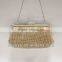 2014 fashion crystal frame clutch evening bag for women