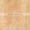 1300*2800mm Wood grain formica laminate BH8823-1/compact laminate price/hpl board