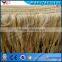 Excellent Performance automatic Sisal fiber machine