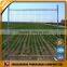 High Tensile farm livestock metal fence panels for sheep/cattle/chicken