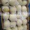 new crop thailand fruit farm ya pear
