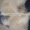 wool waste 19.5-34mic 40mm white and brown price 0.45-7.00/kg