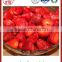 export hot sale tasty good canned strawberry sweet canned food