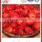 chinese 425g/tin look delicious canned strawberry in light syrup