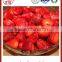 export hot sale tasty good canned strawberry sweet canned food