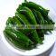 middle early maturity non-edible seeds green Chinese vegetable seeds