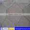 Wire netting,galvanized wire netting,pvc coated wire netting(ISO9001,CE,SGS)
