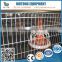 supply automation 4 tiers cage layer chicken cage