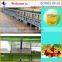 professional palm kernel oil extractor workshop machine