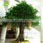 Artificial Banyan Tree 13ft evergreen indoor artificial ornamental plants for Hotel restaurant garden decoration