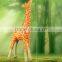 Cute resin life size giraffe statue for sale