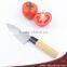 Wood Coating Handle Stainless Steel Fillet Knives,sashimi Knives,sushi Knives,kitchen Knives