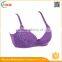 HSZ-58044 Wholesale Latest Fashion Women Underwear Sexy Bra 2016 Girls Underwear Bra New Design