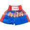 Kids Children Junior Muay Thai Boxing Shorts Kick Boxing Trunks Satin Size 2XS-M