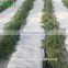 China Eggplant Hydroponics and Coconut Cultivation Equipment/Hydroponics Growing Systems