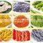 CE Approved Italy macaroni making machine hollow noodles maker pasta machine noodle production line for sale