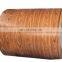 PPGL color coated galvanized corrugated sheet in coil from shandong