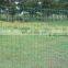XINHAI Hot Dipped Galvanized Welded Wire Mesh Panel