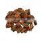 French Pine Bark Extract Proantocyanidins(OPC) 95%