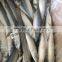 Landing frozen pacific mackerel with size 80-100 pcs / 10kg