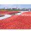 Tomato paste production line turkey for manufacturing tomato sauce