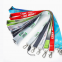 Lanyard