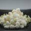 Online Wholesale White Glutinous Corn Kernels Natural Organic Maize