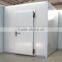 cold room door hinge type