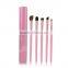 Hot 5 pieces makeup brush for eyeshadow with constellation aluminum case