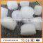 Fish farm MBBR filter media for water treatment