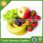 Custom Fridge Magnet , Resin Fridge Magnet , Fruit Fridge Magnet