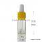Transparent Glass Dropper Bottle With Glass Pipette