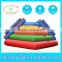 Giant Used Water Inflatable Slide For Adults