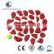 Mixed Small Positive Climbing Holds (30 Pcs Pack)