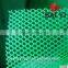 Green Plastic Mesh Netting (China Supplier)