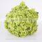 Plant Hydrangea Wedding Hydrangea Bouquet Wedding Bouquets From China
