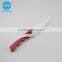 Pass LFGB high quality ceramic fillet knife                        
                                                Quality Choice