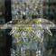 2016 beautiful yellow crystal glass lotus flower decoration on sale